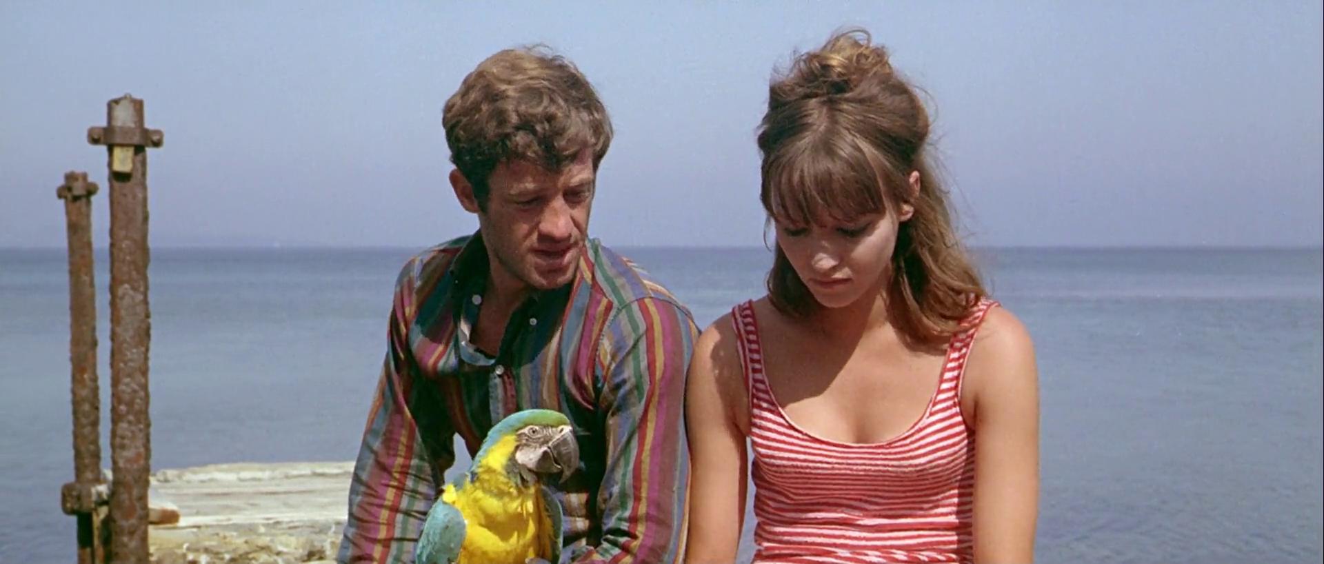 pierrot-le-fou-1.jpg