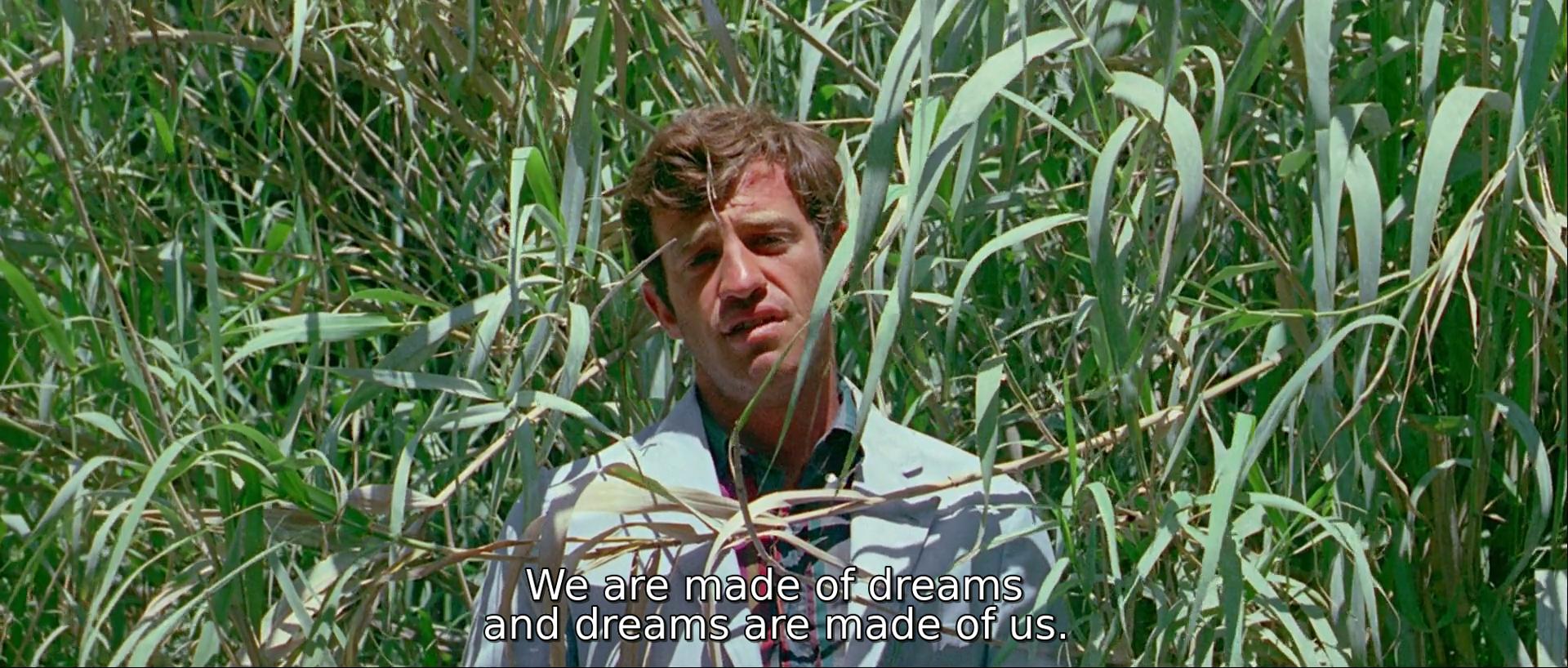 pierrot-le-fou-4.jpg